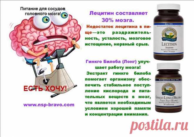ДОЛГОЛЕТИЕ:Как заставить наш мозг работать эффективнее!!!
Чтобы мозг функционировал должным образом, ему необходимо постоянное омывание богатой питательными веществами кровью и постоянное снабжение кислородом.
Любая дисфункция, прерывающая поток крови, может негативно повлиять на деятельность мозга. 
Если позволить этому случаться постоянно на протяжении многих лет, например вследствие атеросклероза, то часто результатом может быть потеря мыслительно-познавательных способностей и слабоумие,