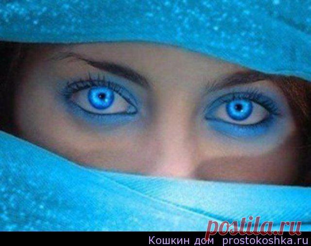 Защита от порчи и сглаза по методике Лорри Кэбот