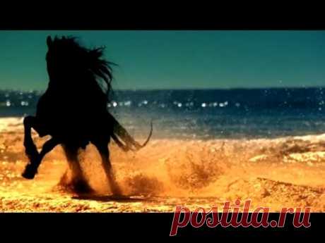 Сердце нежное - YouTube