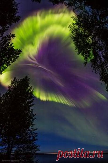 Northern lights Murmansk region, Russia