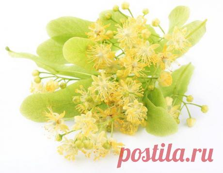 Философия красоты и здоровья