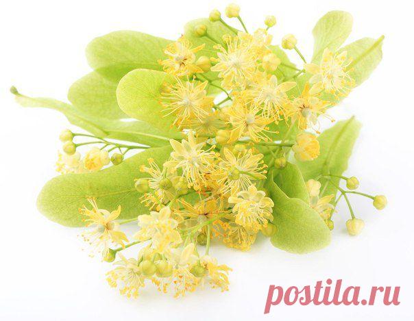 Философия красоты и здоровья