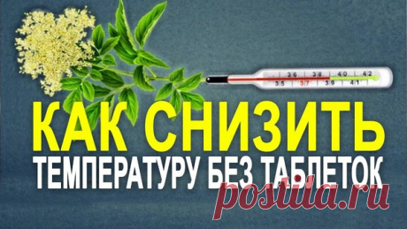 Чем полезна высокая температура и как ее сбивать без таблеток | жизнь женщины | Яндекс Дзен