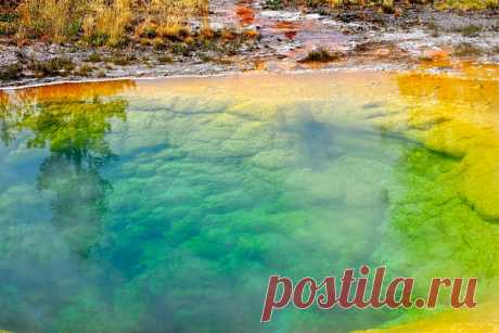 Озеро Утренней Славы (англ. Morning Glory Pool) — геотермальный источник в Йеллоустонском парке в США. Озеро Утренней Славы самое известное и необычное.
Цвет воды в озере обусловлен развитием огромного числа микроорганизмов. Периодически озеро извергалось как гейзер во время увеличения сейсмической активности в регионе или землетрясениях.