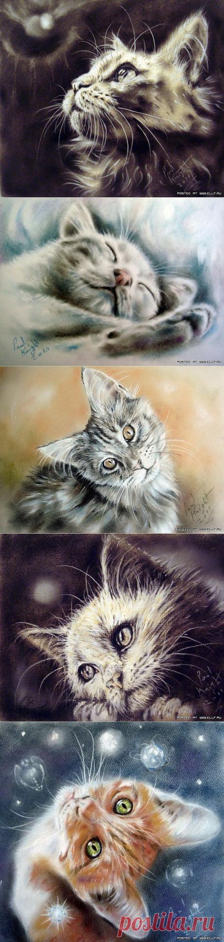 Нарисованные кошки Пола Найта (17 картин)