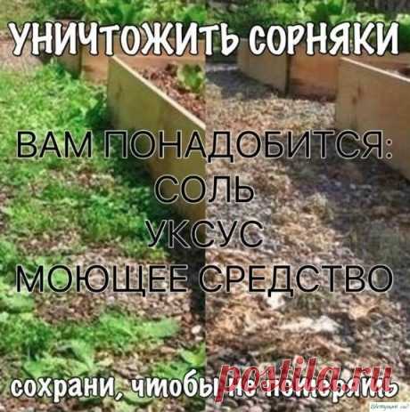 Уничтожить сорняки