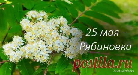 Народные приметы и поверья 25 мая. Рябиновка, Епифан. Что можно и надо сделать, а что делать нельзя 25 мая по поверьям и приметам предков
