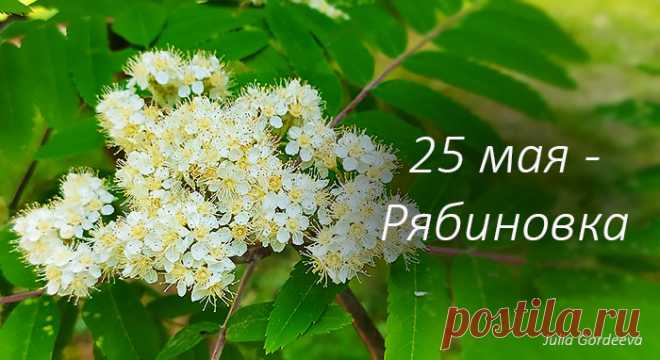 Народные приметы и поверья 25 мая. Рябиновка, Епифан. Что можно и надо сделать, а что делать нельзя 25 мая по поверьям и приметам предков