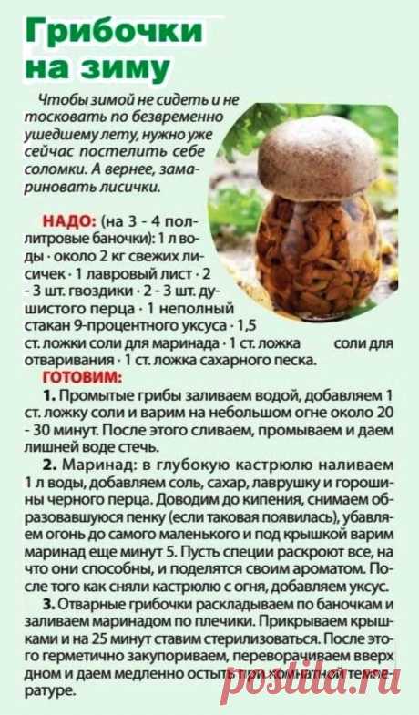 Грибочки на зиму