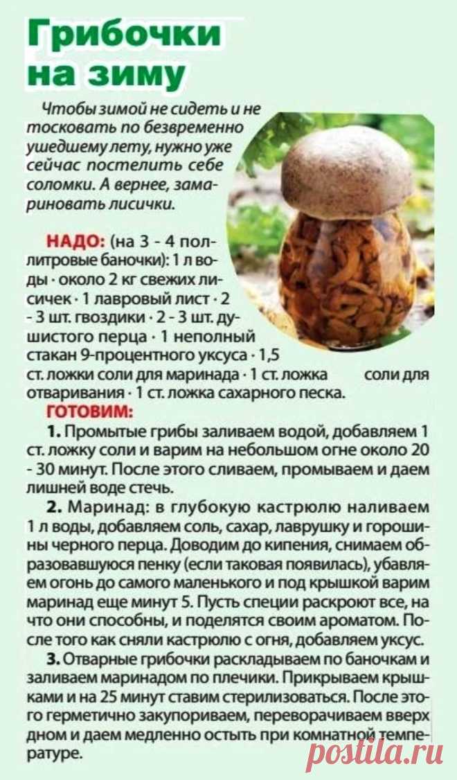 Грибочки на зиму