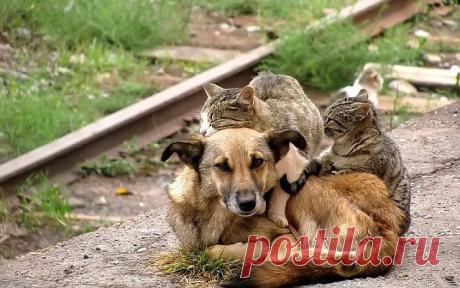 2 непрочитанных чата