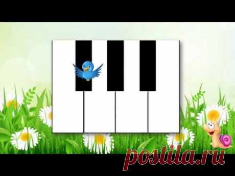 Вивчаємо ноту сі