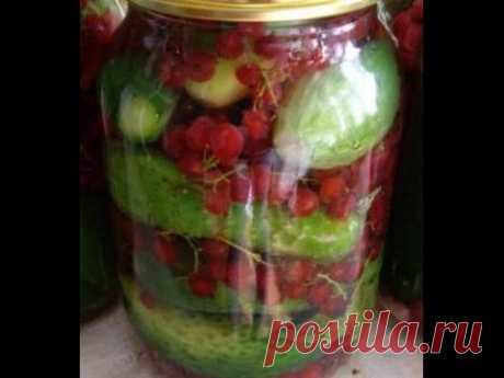 Приготовление маринованных огурцов в красной смородине.Pickles