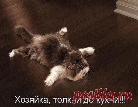 = ДЕСЯТЫЙ=БЭ=
Россия, москва