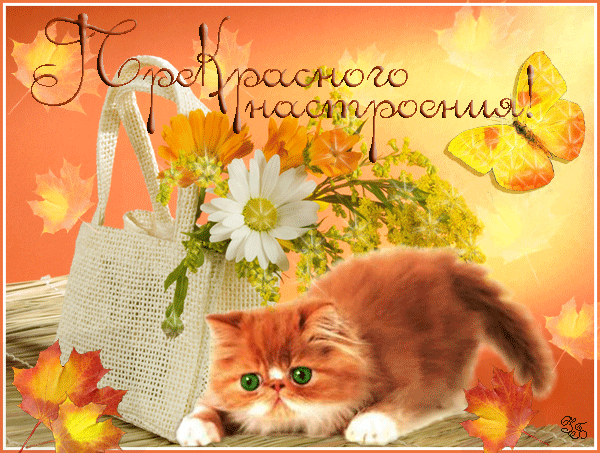 Плейкаст «ДОБРОГО ОСЕННЕГО УТРА!!!!!!!!!!!!!!!!!!!!!!!!»