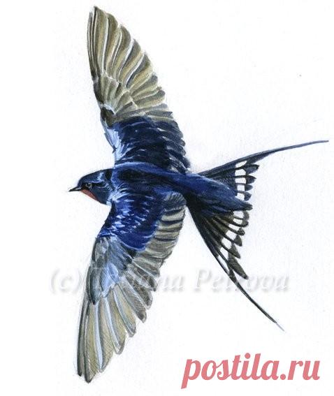 Кошки, собаки и другие - Сайт art-tpetrova!