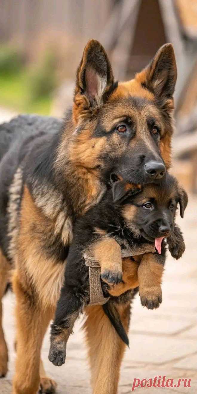 ღ