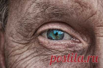 Ученые научились определять риск смерти по глазам. Ученые из Китая научились определять риск смерти по глазам. Отмечается, что разница между биологическим возрастом сетчатки глаза и реальным возрастом человека является признаком повышенного риска смерти. Состояние сети мелких сосудов может быть надежным индикатором общего состояния системы кровообращения и мозга.