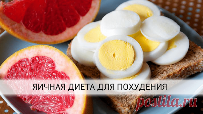 Эффективная Диета Магги - не истощает, а помогает сбросить вес Сбалансированная и продуманная диета Магги - интересное решение, если вы решили похудеть. Организм получает всё, что ему нужно, но не больше