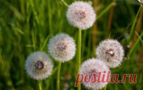 Природа обои. Картинки, фото скачать. Страница 34.