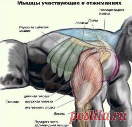 Интересные новости