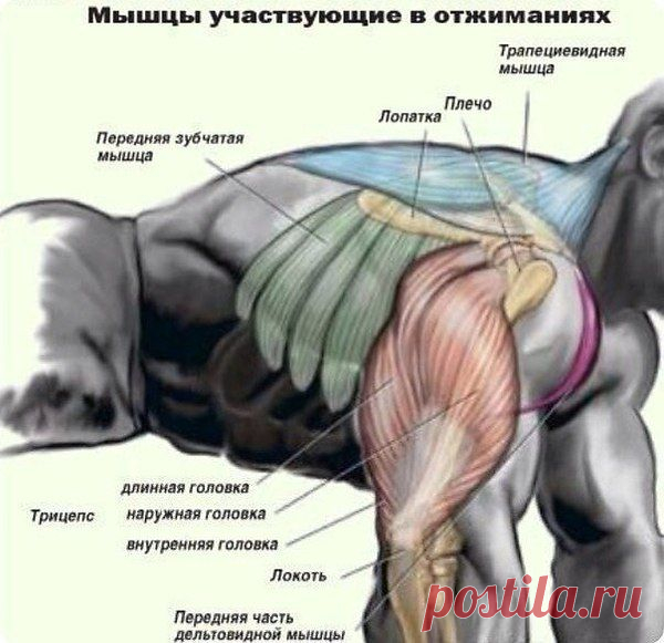Интересные новости