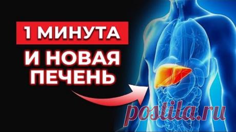 Всего 1 стакан в день и у вас новая печень и сосуды! / Суперэликсир молодости и долголетия