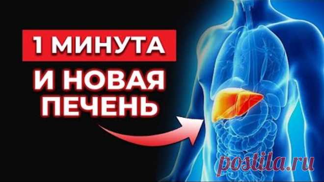 Всего 1 стакан в день и у вас новая печень и сосуды! / Суперэликсир молодости и долголетия