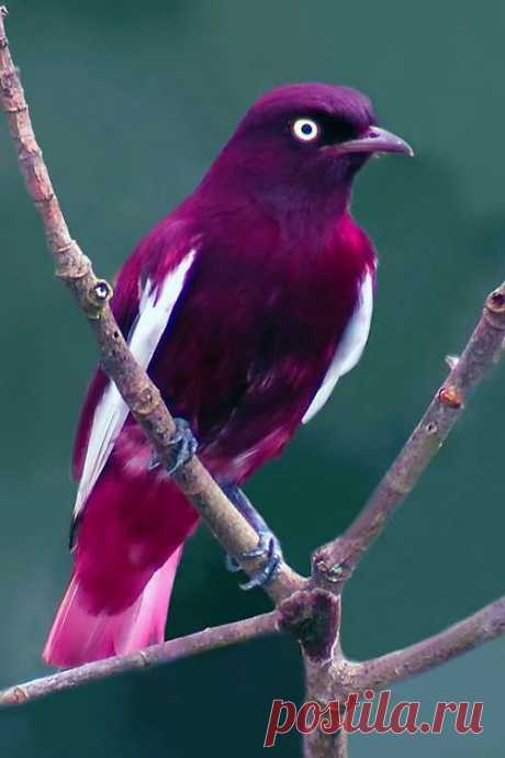 de0248fd2812ffa9d13e3383db2e86f4.jpg (500×750)