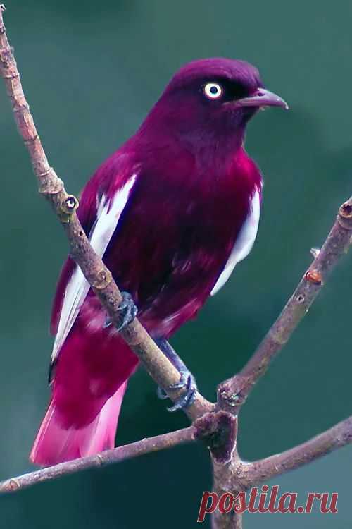 de0248fd2812ffa9d13e3383db2e86f4.jpg (500×750)