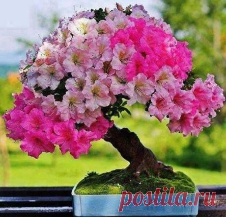 (117) İlginç Paylaşımlar