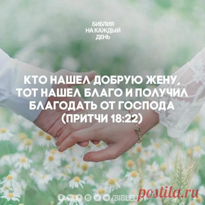 Библейские притчи на каждый день: 2 тыс изображений найдено в Яндекс Картинках