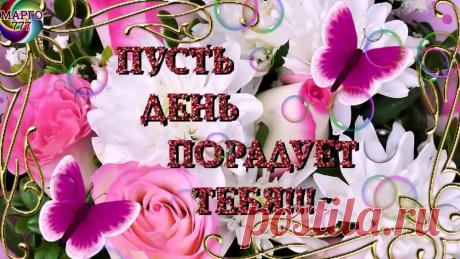 ДОБРОЕ УТРО !