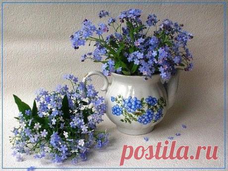 Одноклассники