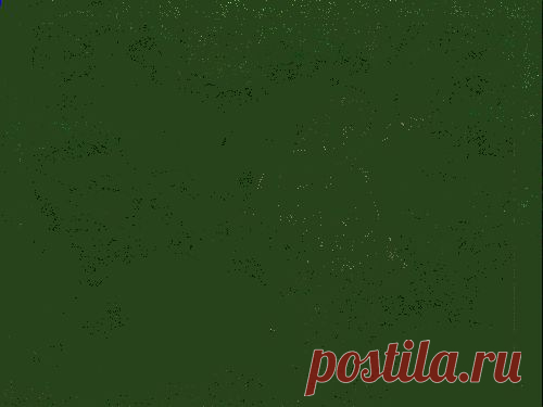 Анимации Люди и животные, Анимации девушка и пантера