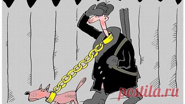 Петр: все к лучшему