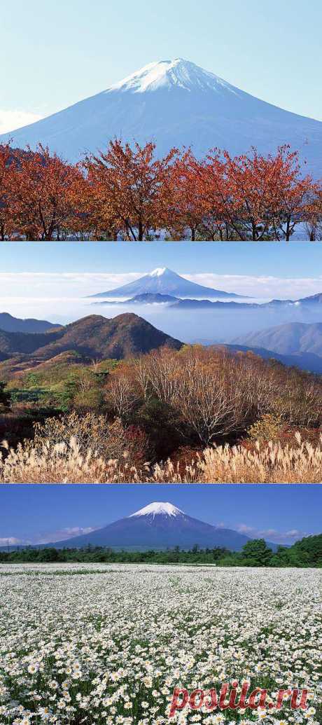 Гора Фудзи (Фудзияма) - 14 фото - www.ecology.md