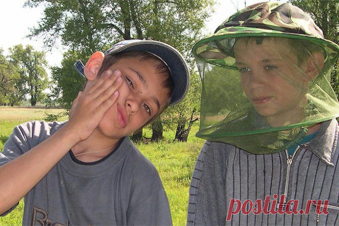 10 способов снять зуд от комариных укусов / Я - суперпупер