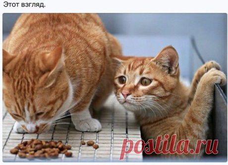 Мой Мир@Mail.Ru