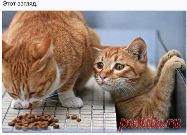 Мой Мир@Mail.Ru