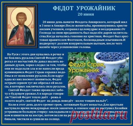 Солнце греет на Федота, Значит, будет славный год! Пусть кипит в руках работа,И во всем всегда везет. Открытки на Федот Урожайник!