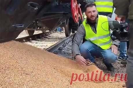 Бунт польских фермеров против украинцев. Польские фермеры в знак протеста высыпали на железнодорожные пути два вагона украинской кукурузы.