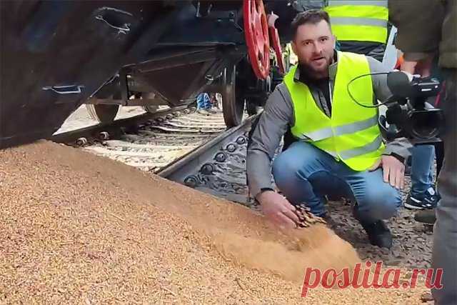 Бунт польских фермеров против украинцев. Польские фермеры в знак протеста высыпали на железнодорожные пути два вагона украинской кукурузы.