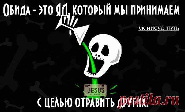 Правда жизни