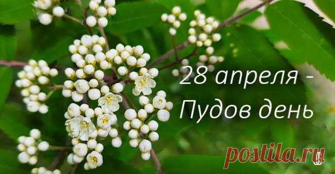 Приметы и запреты 28 апреля в Пудов день Приметы и запреты 28 апреля в Пудов день. Что можно и надо сделать 28 апреля, а что делать не стоит в день Пуда по поверьям и приметам