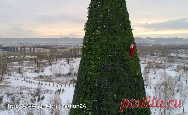 На Татышеве сфотографировали лазающего по самой высокой ёлке Санта-Клауса

Снимки опубликовал в Facebook красноярский фотограф Илья Наймушин. На кадрах видно, как мужчина в костюме Санта-Клауса карабкается по ёлке, которую чиновники в этом году признали самой высокой в стране.

Как рассказал сам фотограф, в костюм Санты нарядили монтажника-высотника, который устанавливал праздничную иллюминацию.
Показать полностью…