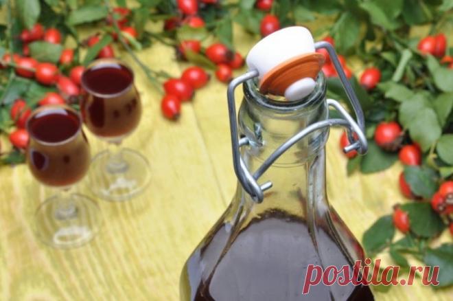 Вино из шиповника рецепт с фото | Огородник | Ogorodnik.com
