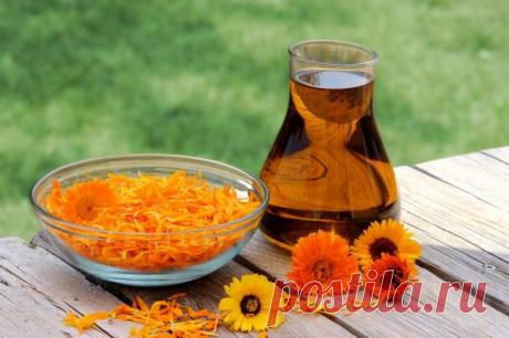 Целебные свойства отвара календулы, о которых Вы могли не знать