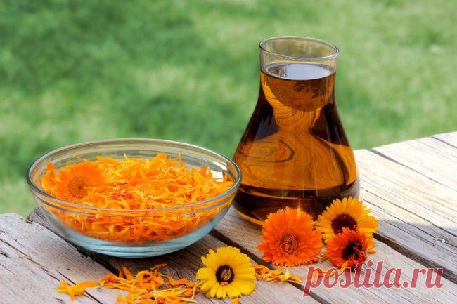 Целебные свойства отвара календулы, о которых Вы могли не знать