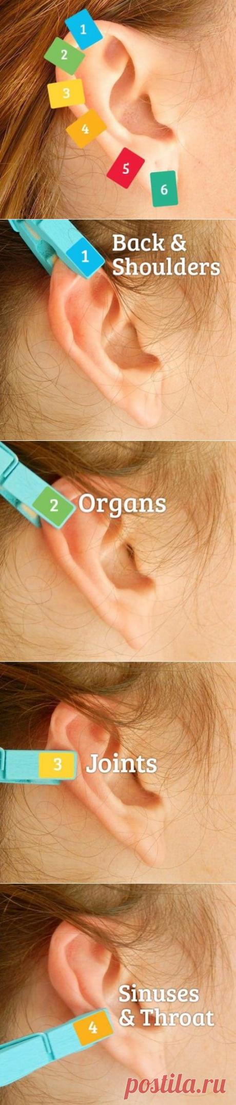 КАК ОБЫЧНАЯ ПРИЩЕПКА МОЖЕТ ПОМОЧЬ ПРИ БОЛЕЗНЯХ